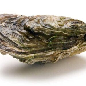 Spéciale « Cuvée Prestige »